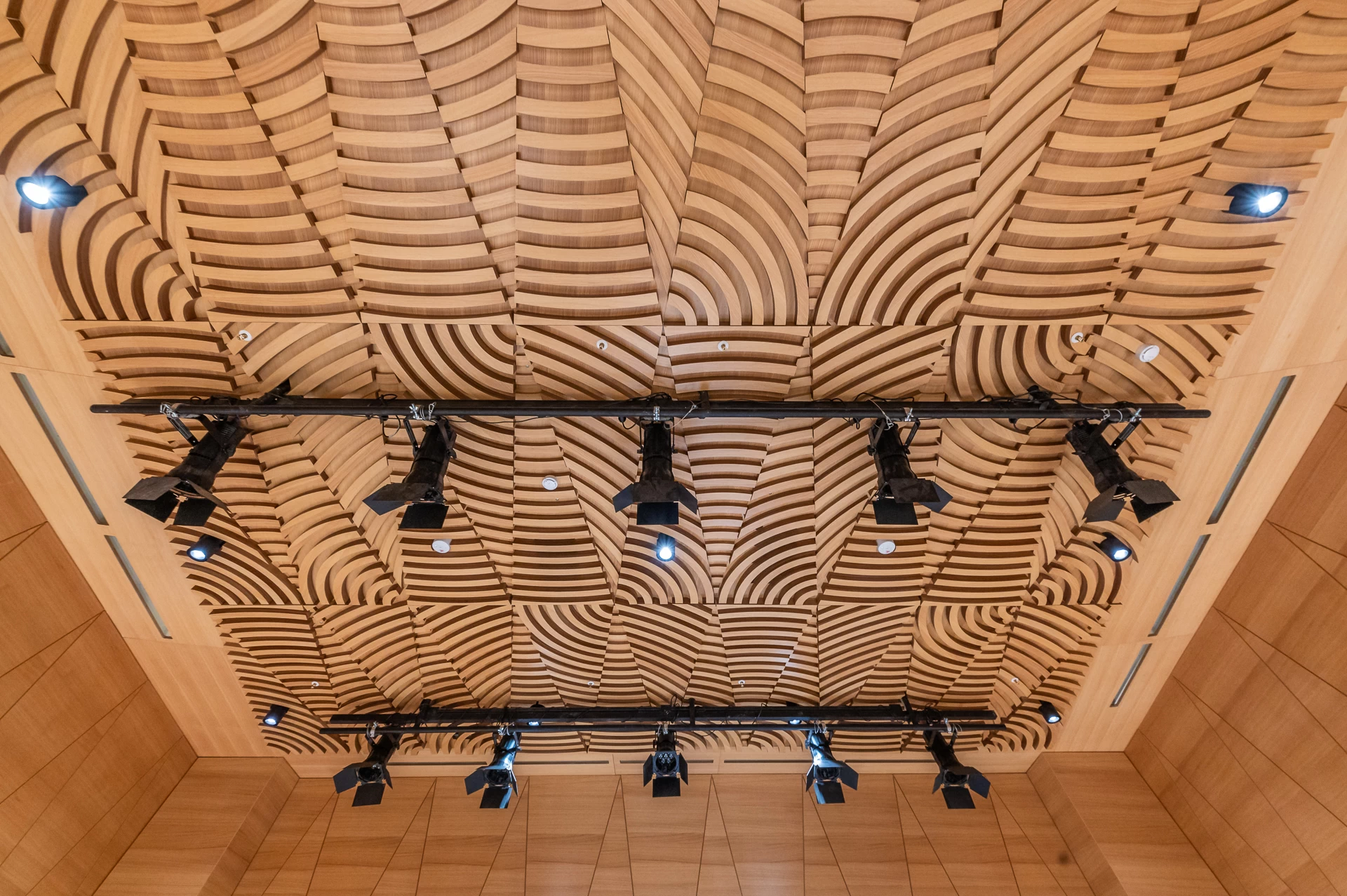 Средняя специальная музыкальная школа «Сириус»  Образовательного Фонда «Талант и успех» 